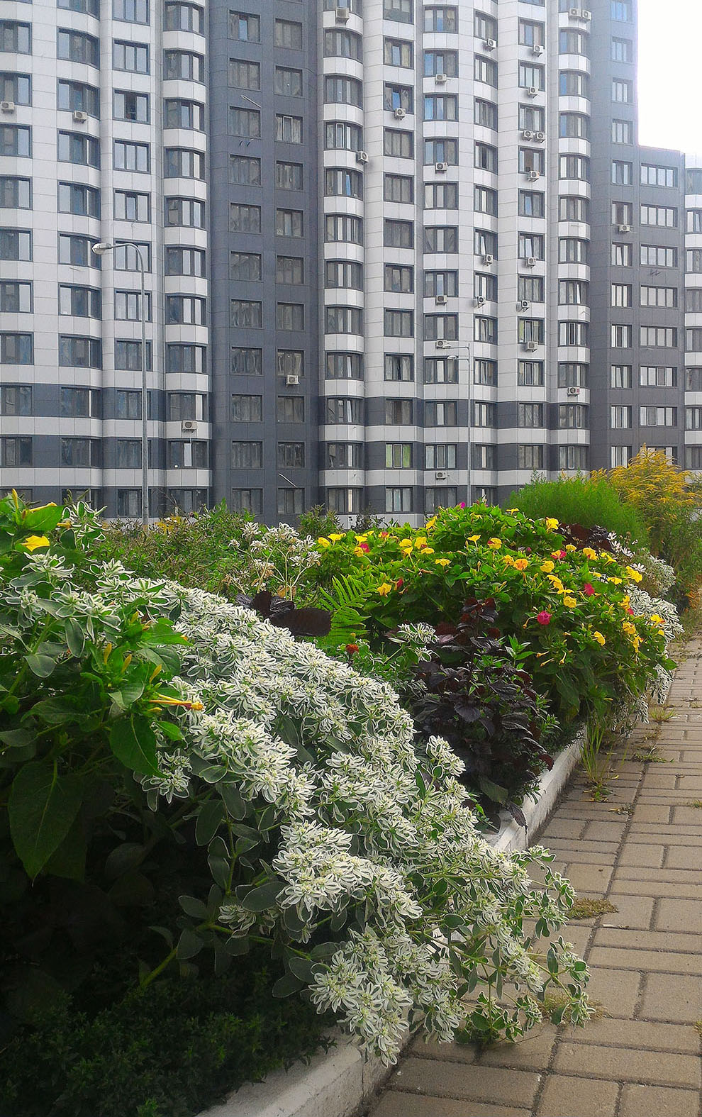 магазин т-пряжи